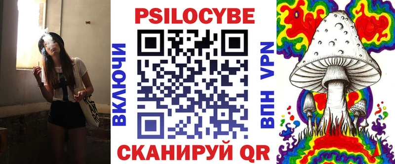 где можно купить   Старица  Псилоцибиновые грибы Psilocybine cubensis 